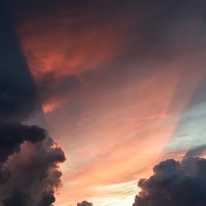 成年网站在线观看
